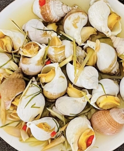 Ốc Bulot – Đặc Sản Hải Sản Cao Cấp Từ Châu Âu | ANGIAFOOD